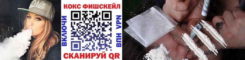 купить закладку  Красновишерск  COCAIN Fish Scale 