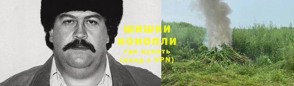 винт Богородицк