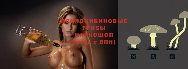 винт Богородицк