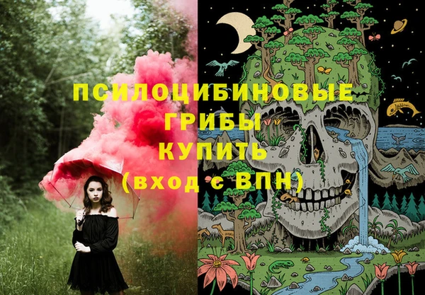 винт Богородицк